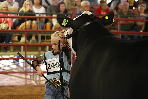 SteerShow-32