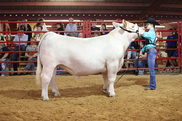 SteerShow-24