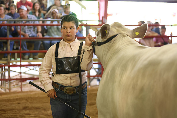 SteerShow-26