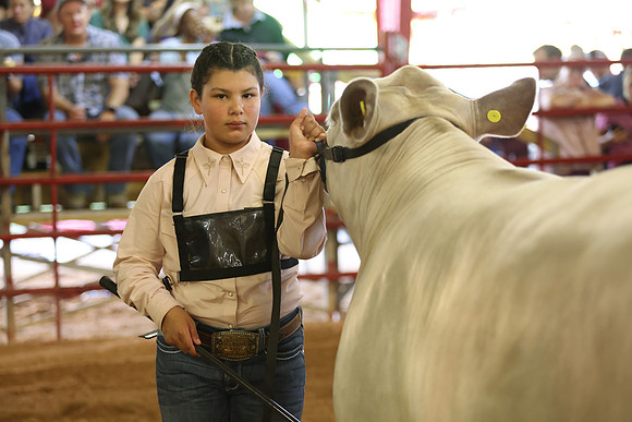 SteerShow-27