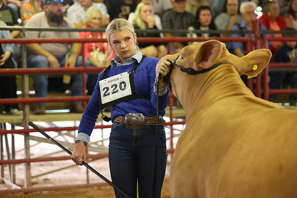 SteerShow-40