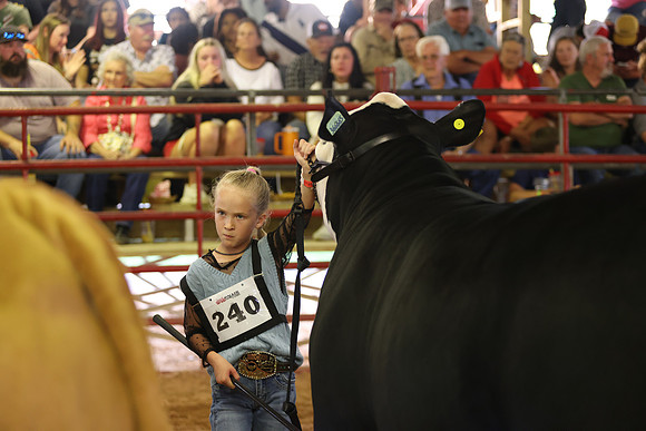 SteerShow-33