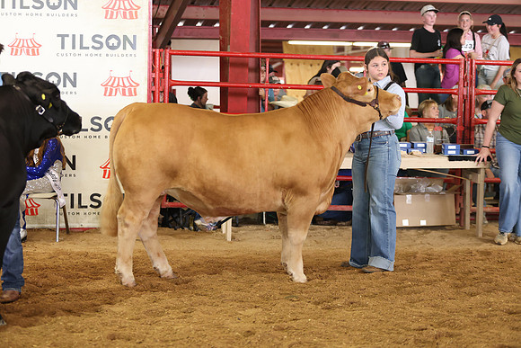 SteerShow-68