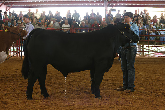 SteerShow-54