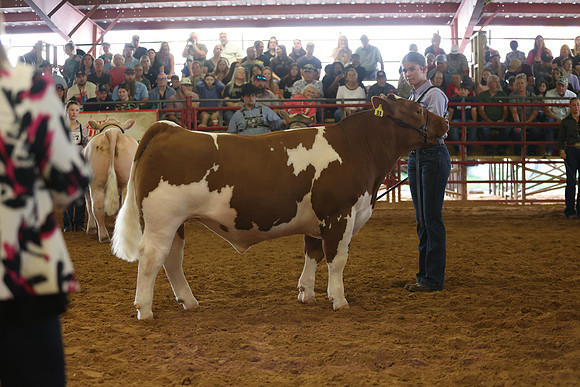 SteerShow-51