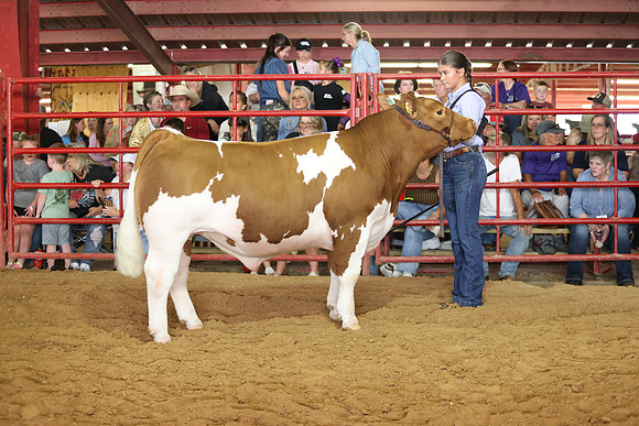 SteerShow-64