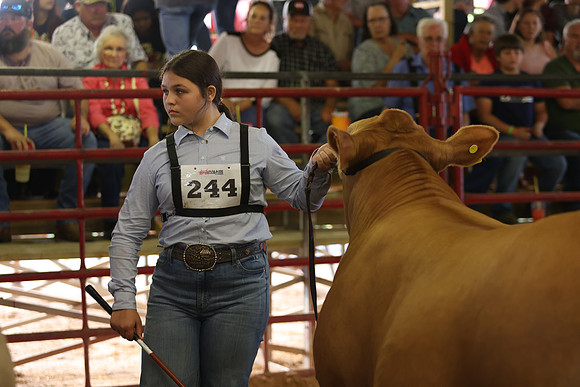 SteerShow-78