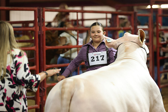 SteerShow-3