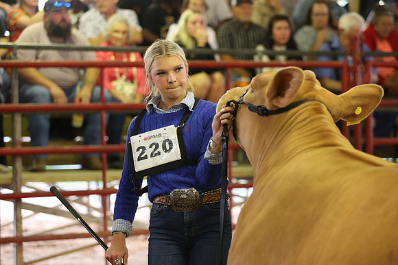 SteerShow-39
