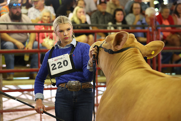 SteerShow-38