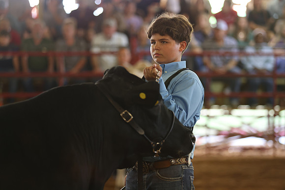SteerShow-55