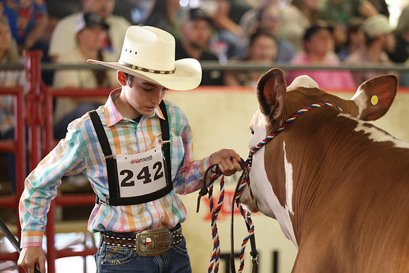 SteerShow-43