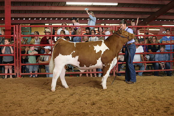 SteerShow-57