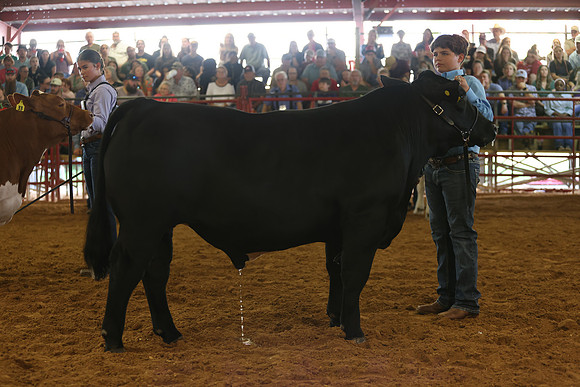 SteerShow-53