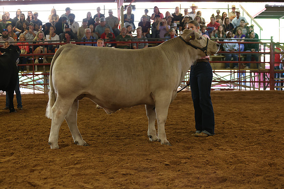 SteerShow-47