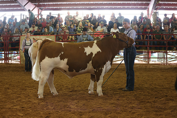 SteerShow-52
