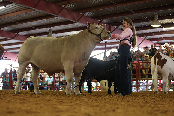 SteerShow-46