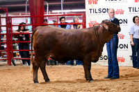 TLL-4611