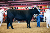 RCM_7828