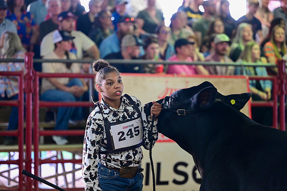 RCM_7841