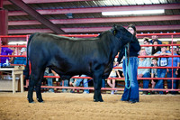 RCM_7800