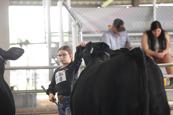 SS 2026- Showmanship-42