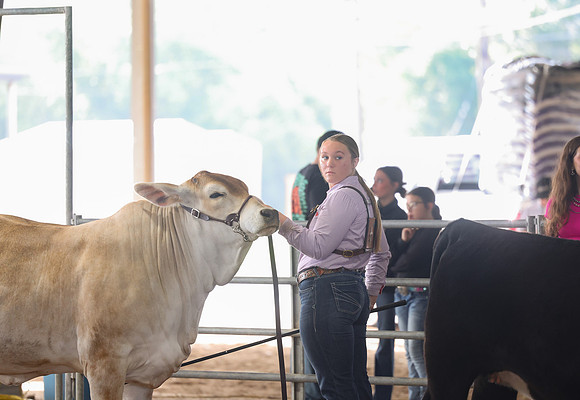 SS 2026- Showmanship-108