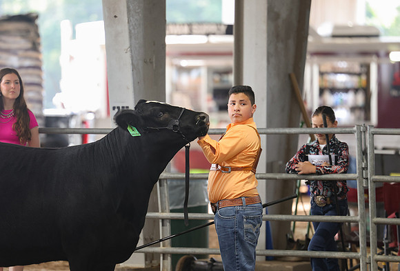 SS 2026- Showmanship-109