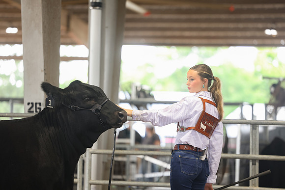 SS 2026- Showmanship-80