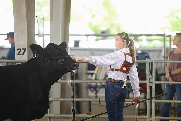 SS 2026- Showmanship-54