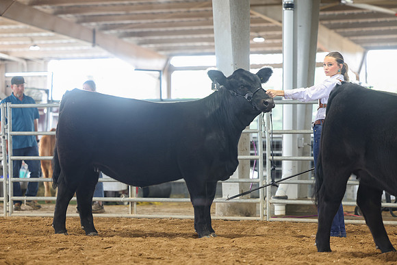 SS 2026- Showmanship-83