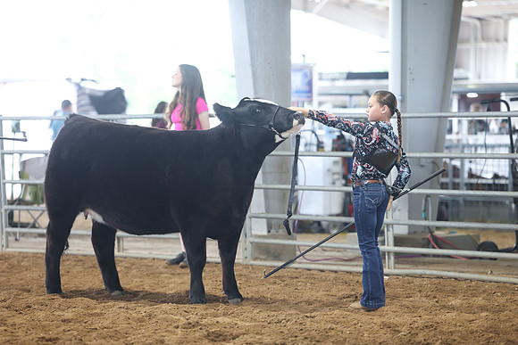 SS 2026- Showmanship-40