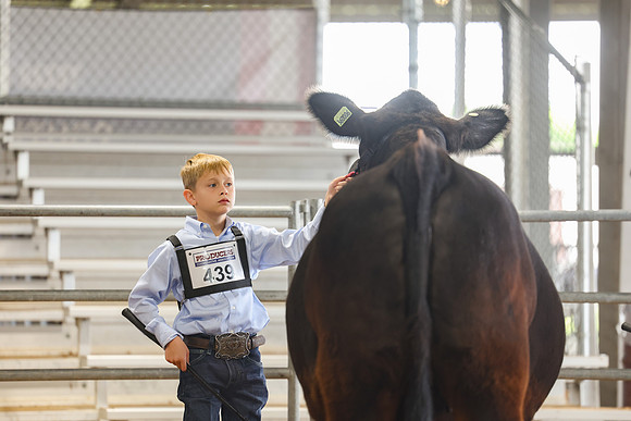 SS 2026- Showmanship-44