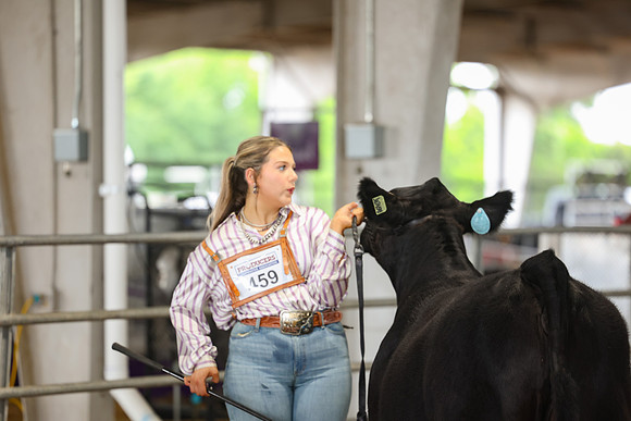 SS 2026- Showmanship-50
