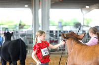 SS 2026- Showmanship-9