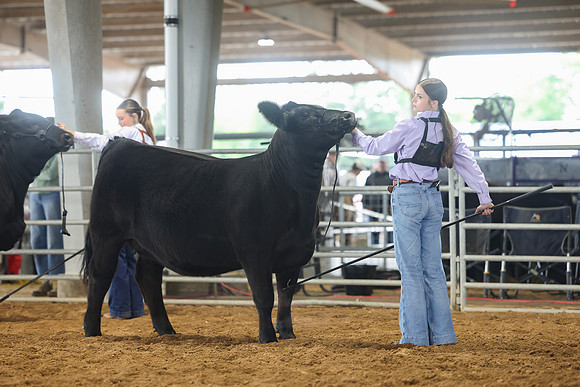 SS 2026- Showmanship-86