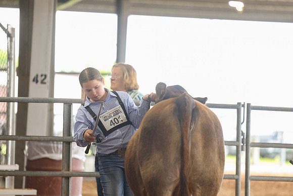 SS 2026- Showmanship-45