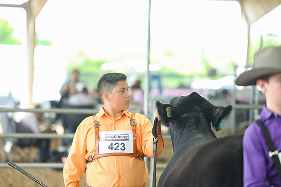 SS 2026- Showmanship-51