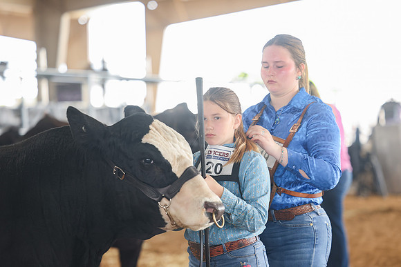 SS 2026- Showmanship-53