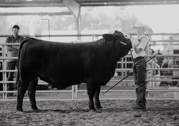 SS 2026- Showmanship-47