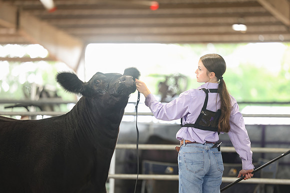 SS 2026- Showmanship-84