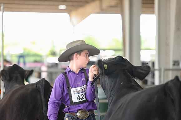 SS 2026- Showmanship-52
