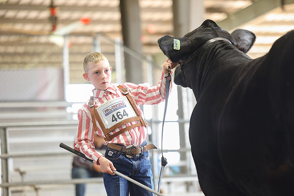 SS 2026- Showmanship-36