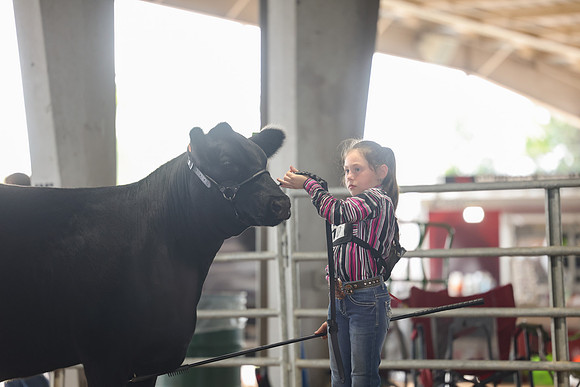 SS 2026- Showmanship-37