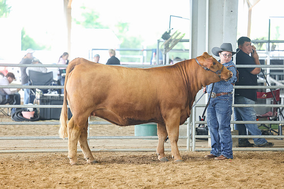 SS 2026- Showmanship-26
