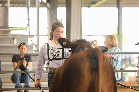 SS 2026- Showmanship-24