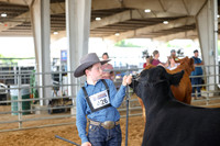 SS 2026- Showmanship-15