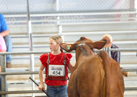 SS 2026- Showmanship-17