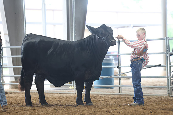 SS 2026- Showmanship-39