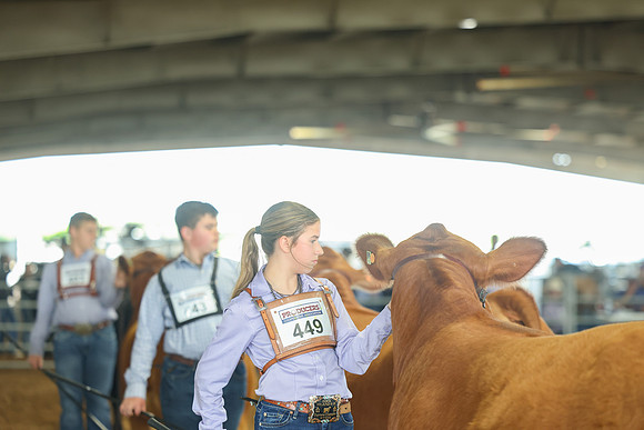 SS 2026- Showmanship-16